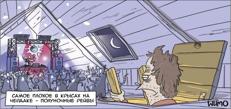 Крысы на чердаке