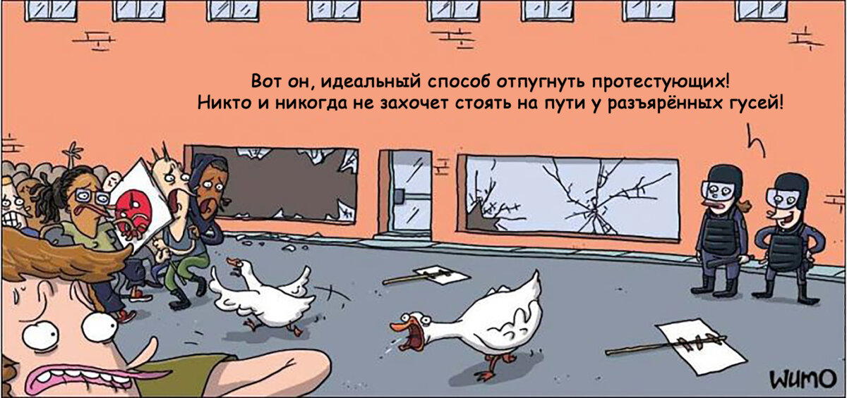 Разгон толпы