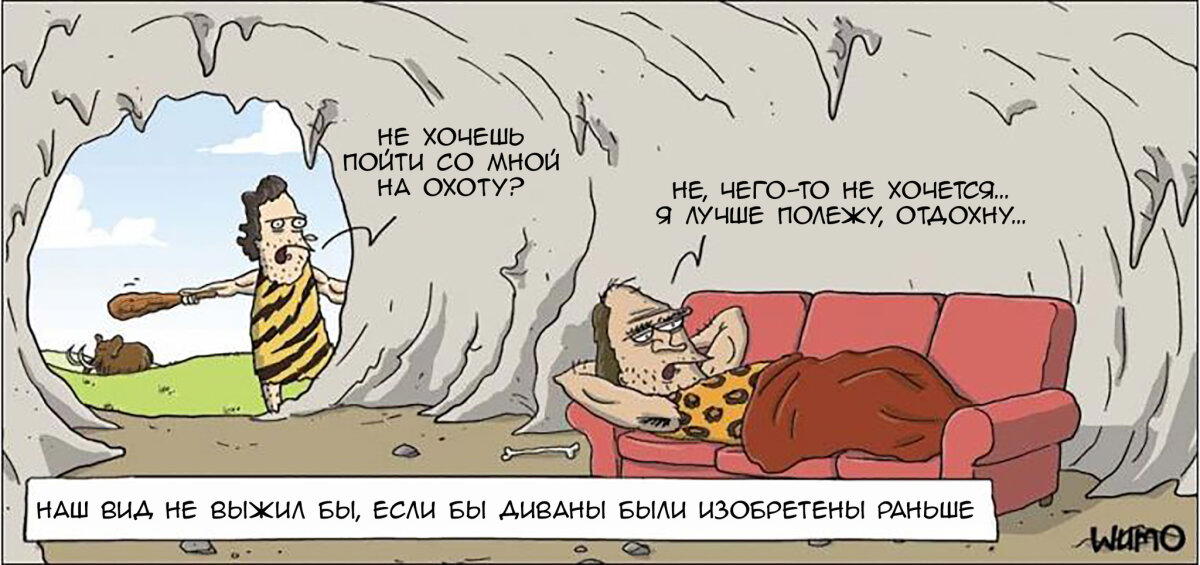 О влиянии дивана на наш вид