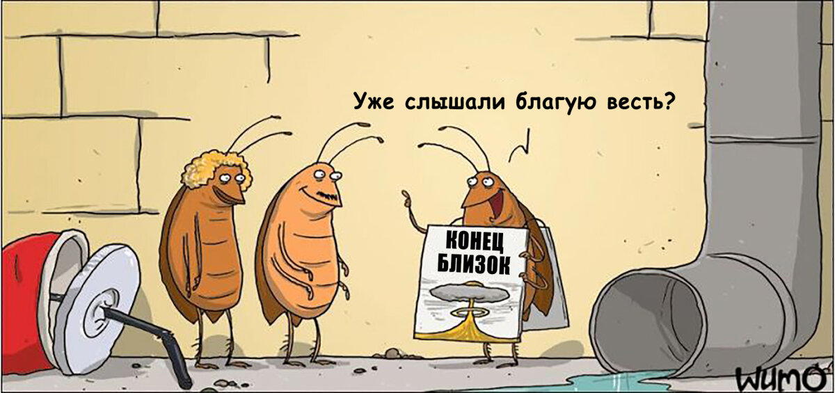 Наконец-то