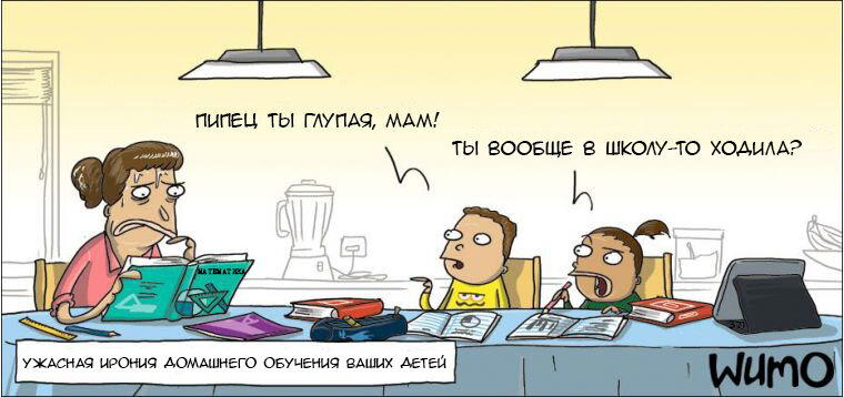 Домашнее обучение