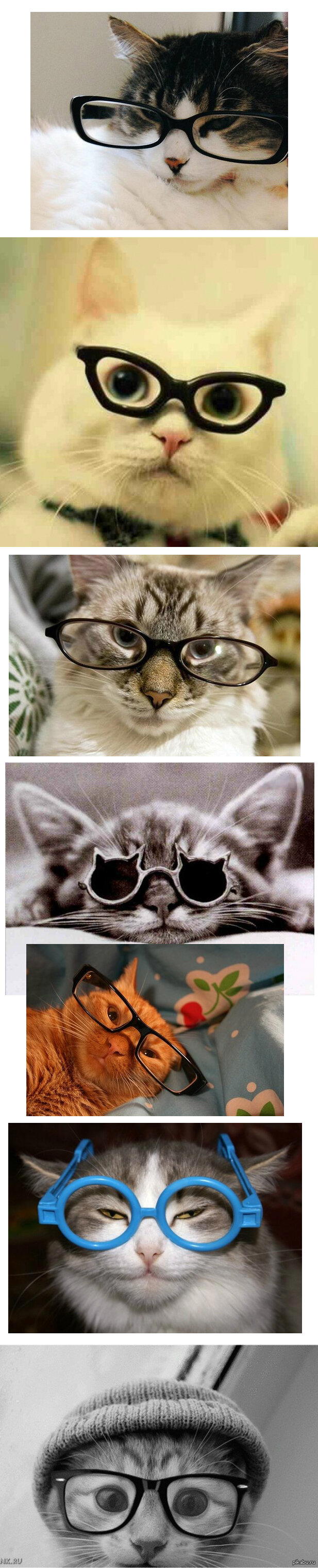 Коты ученые, прям как у классика)))