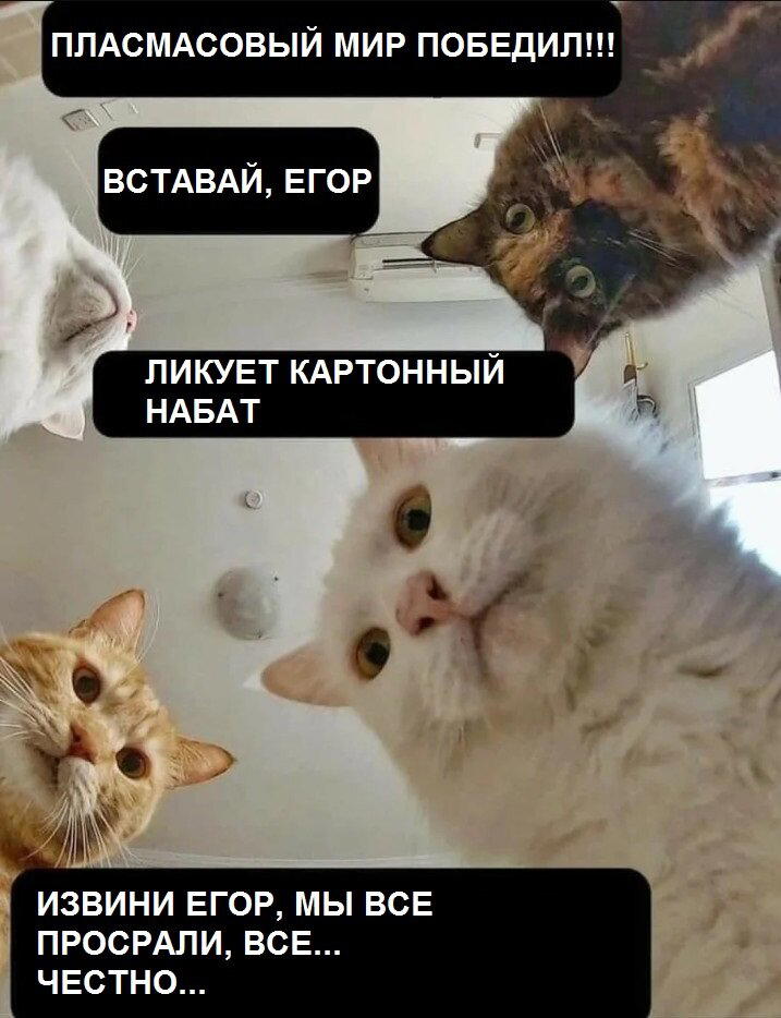Моя оборона