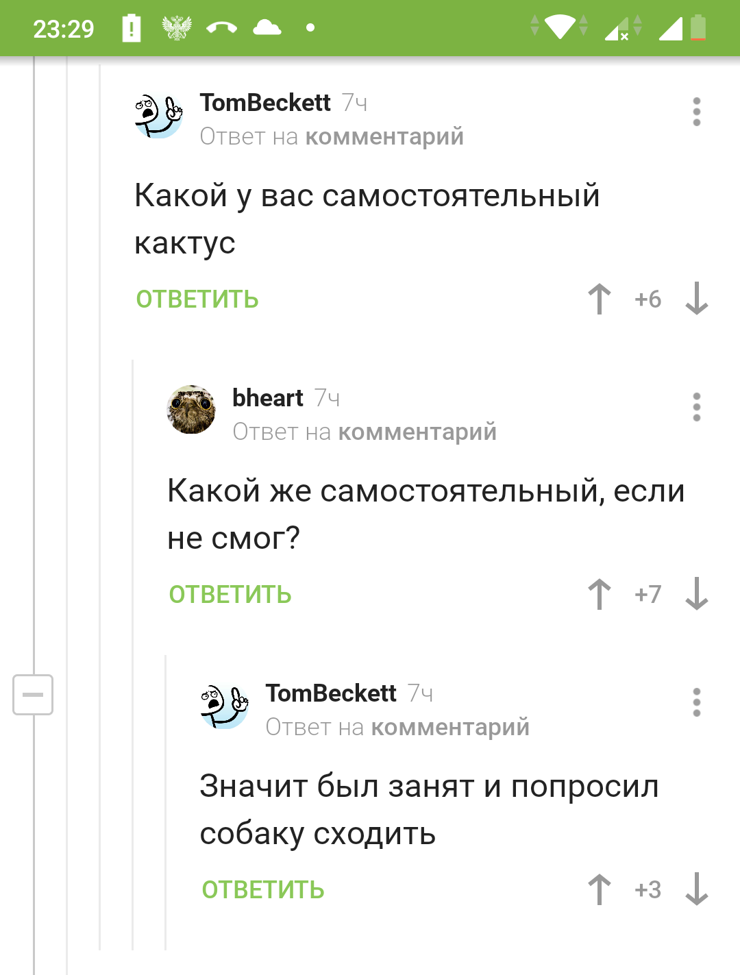 Лайхак и кактус