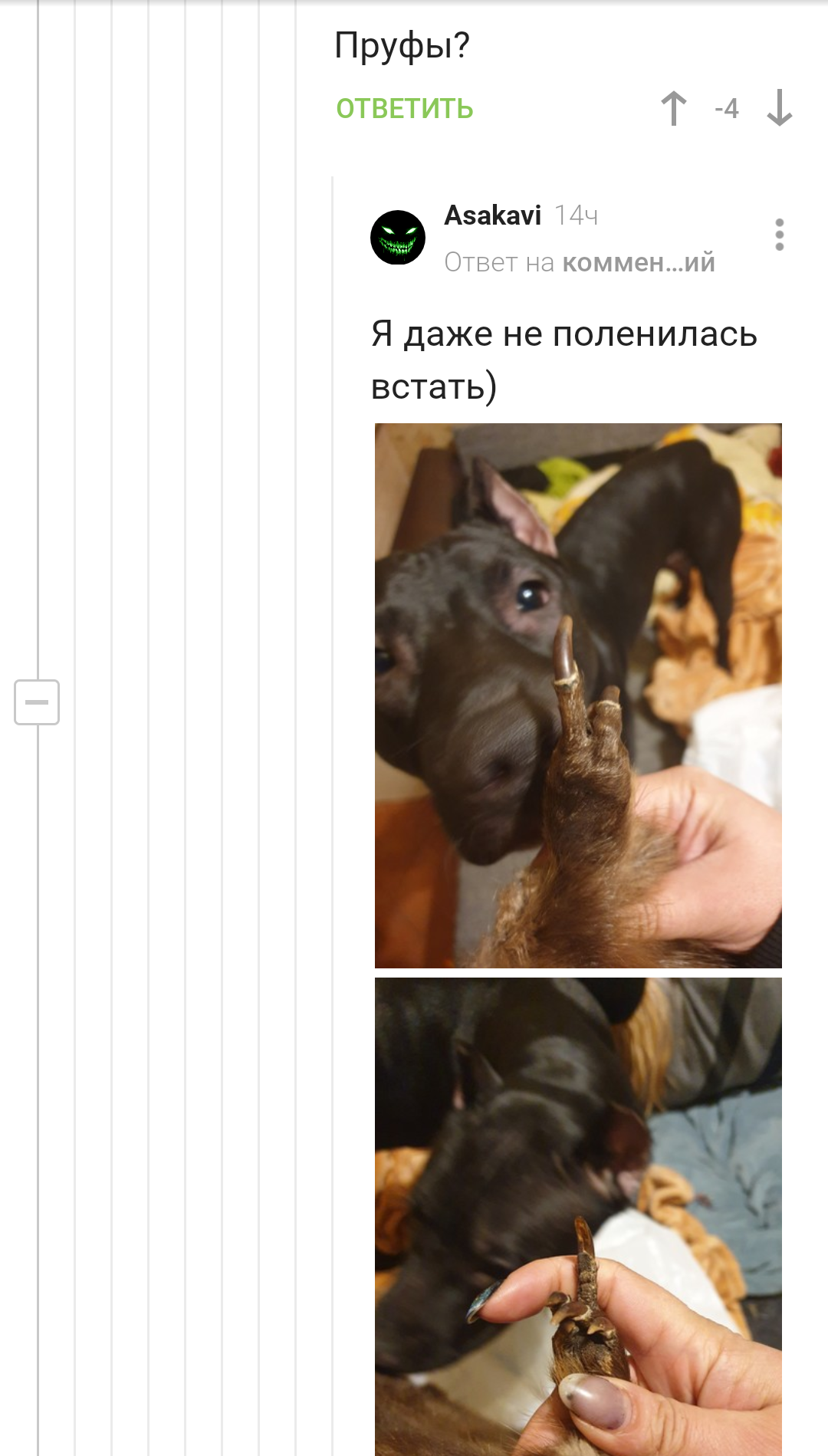 Лучший пруф за историю человечества...