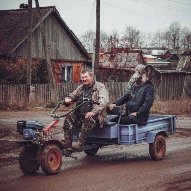 Мамонтенок на льдине уже не тот...