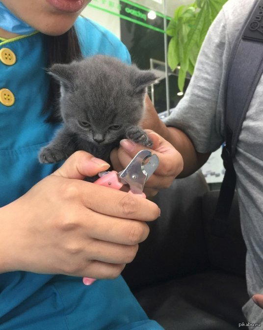 маникюр
