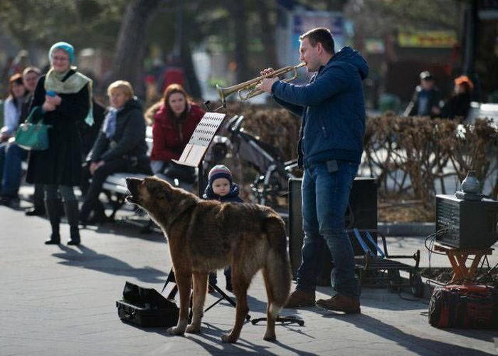Золотыыя купола...