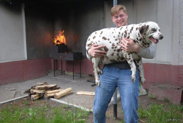 Из кого шашлычок будет?