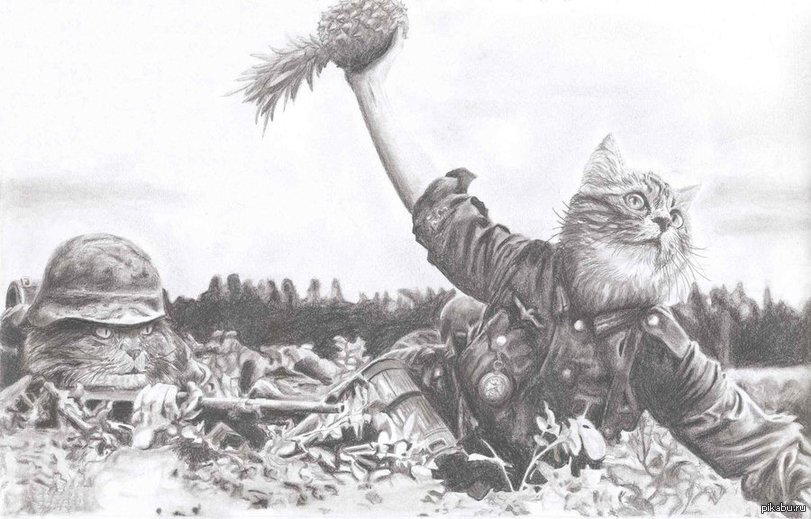 War never Changes