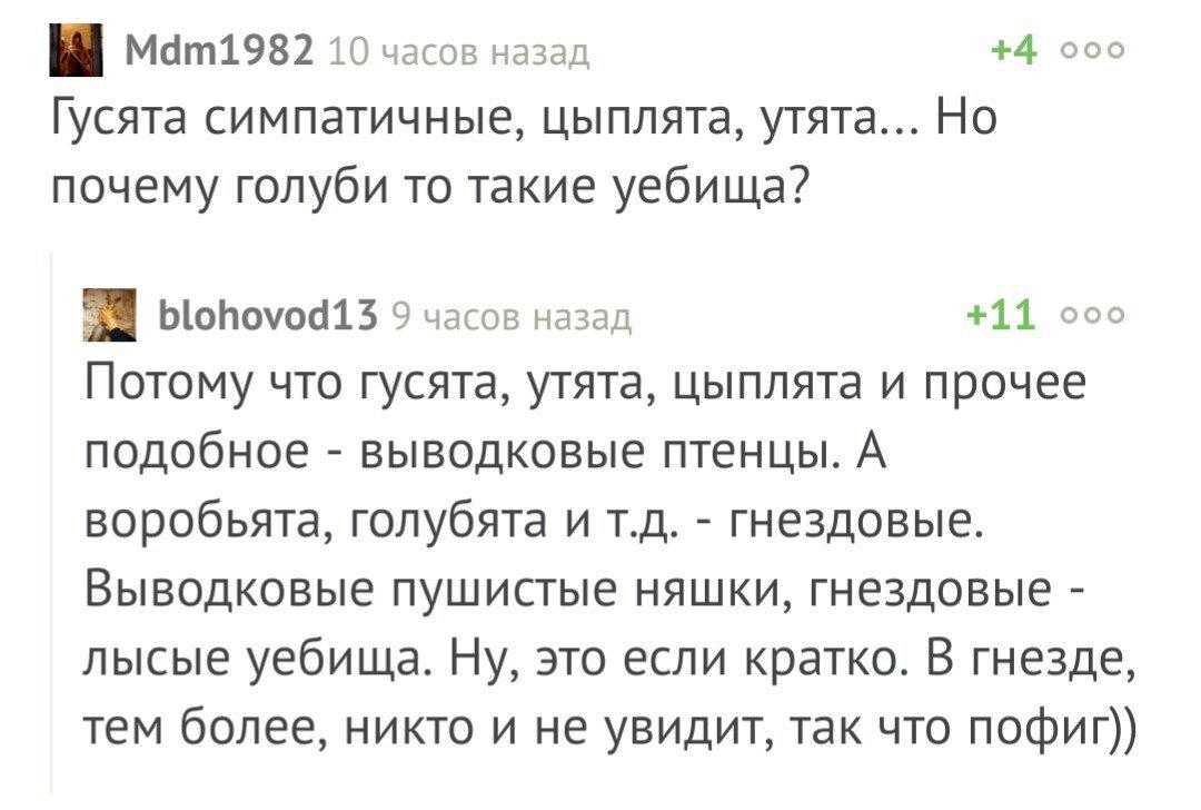 Понятно?