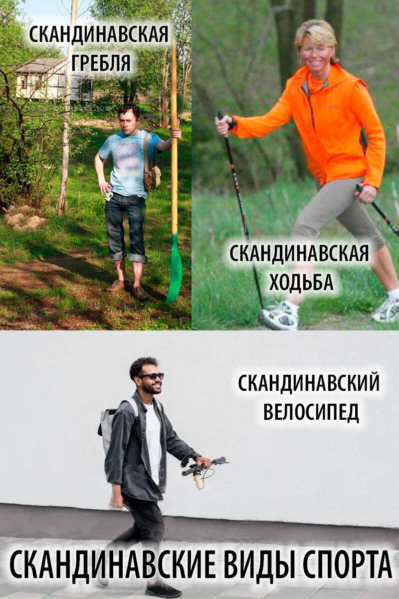 Скандинавские виды спорта
