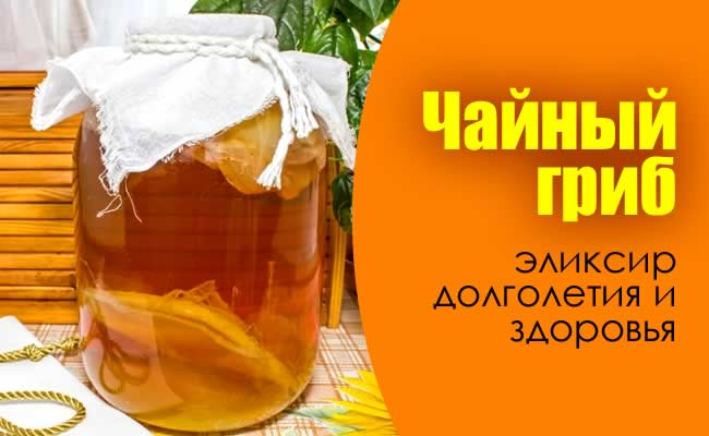 Бросаю пить! Пока на год, там увидим - часть 5. (7 месяцев позади)