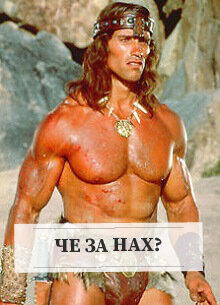 Покусились
