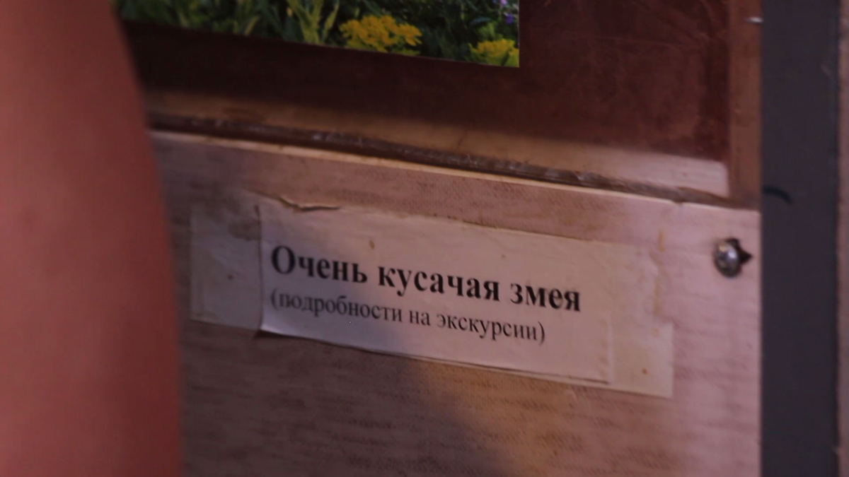 Андрей Затока об экзотических питомцах. Часть 1