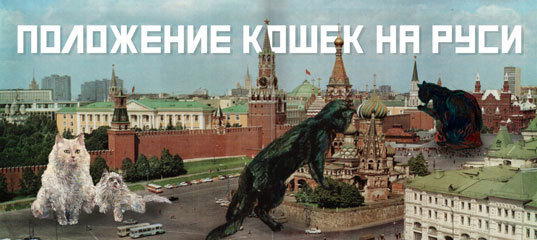 Кошки в России