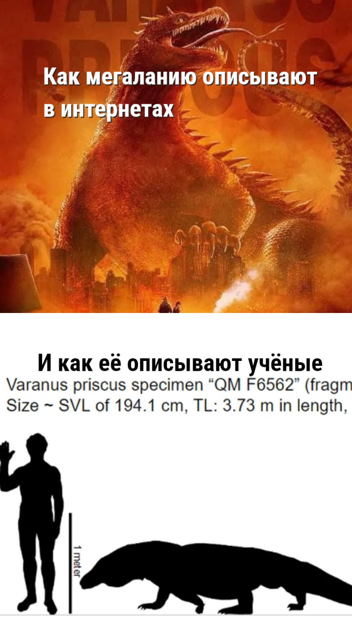 Мегалания в интернетах vs мегалания на самом деле