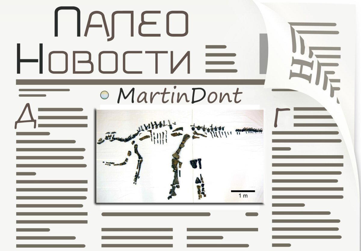 Протоихтиозавры — были или не были?