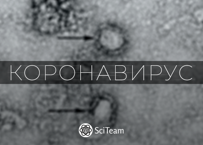 Коронавирус 2019-nCoV