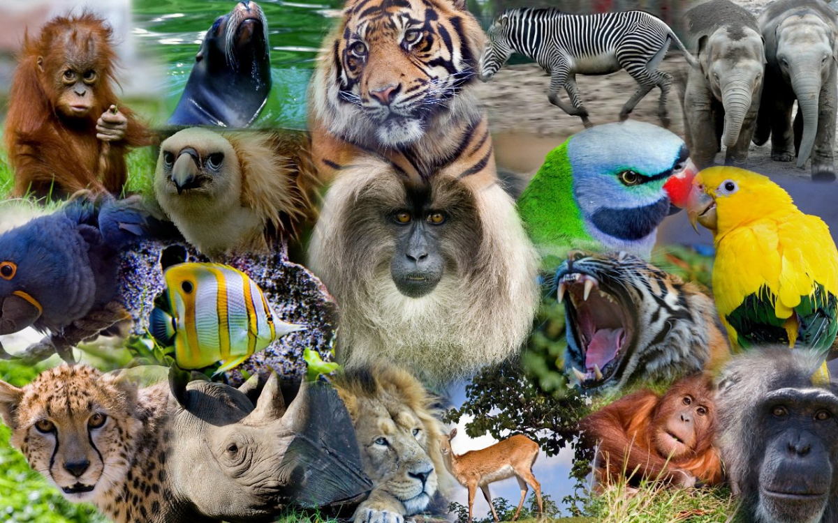 Угадайка по естественным наукам. #12