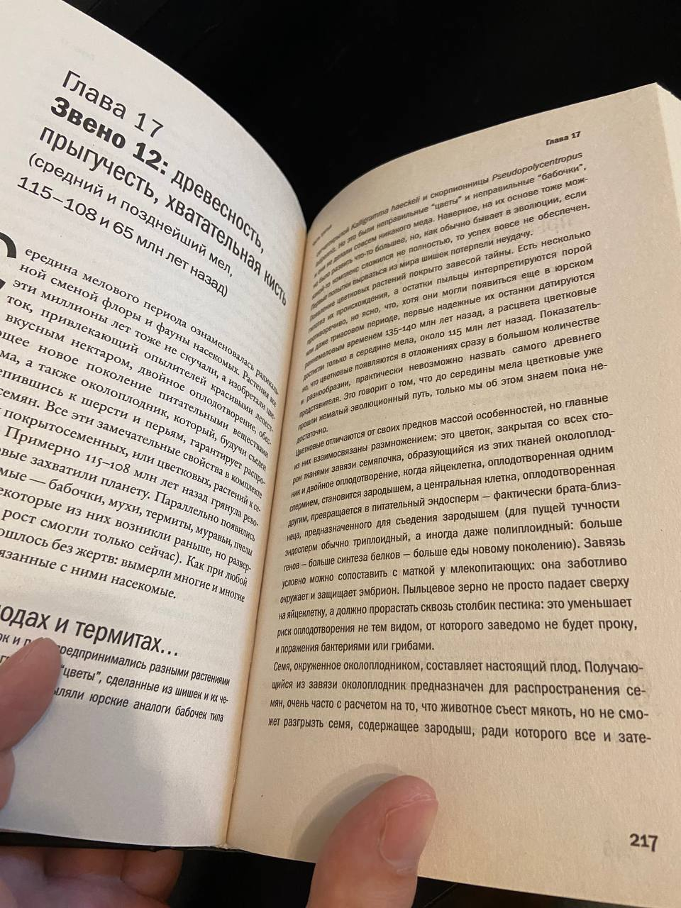 Отдам книжки. Бумажные! UPD: всё забрали