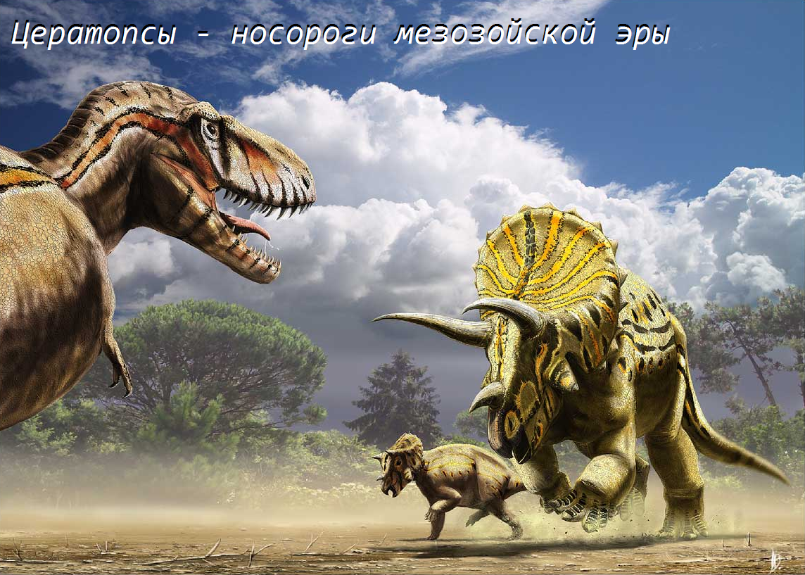 Цератопсы - носороги мезозойской эры.