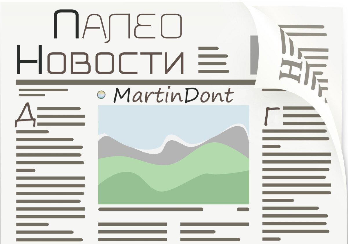 Обнаружен крупнейший в Японии полный скелет динозавра