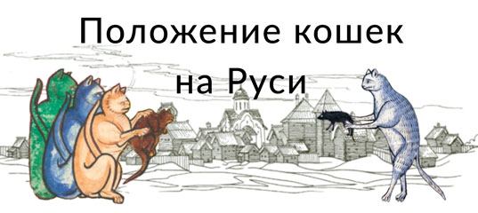 Не всё коту масленица: история кошек на Руси