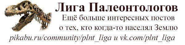 Палеокреатив: гиганотозавр, гигантозавр и гигантораптор