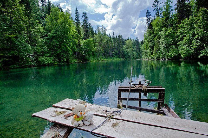 5 крутых мест под Петербургом для любителей-палеонтологов