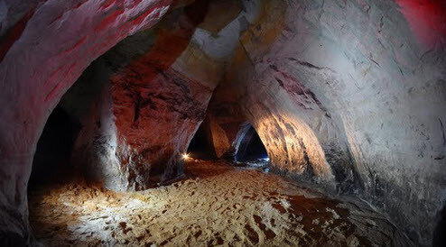 5 крутых мест под Петербургом для любителей-палеонтологов
