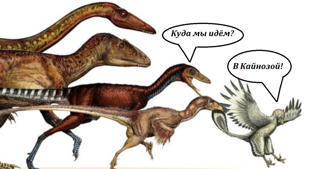 Эволюция полёта птиц.