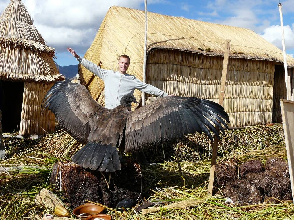 Угадайка по биологии и палеонтологии. #10