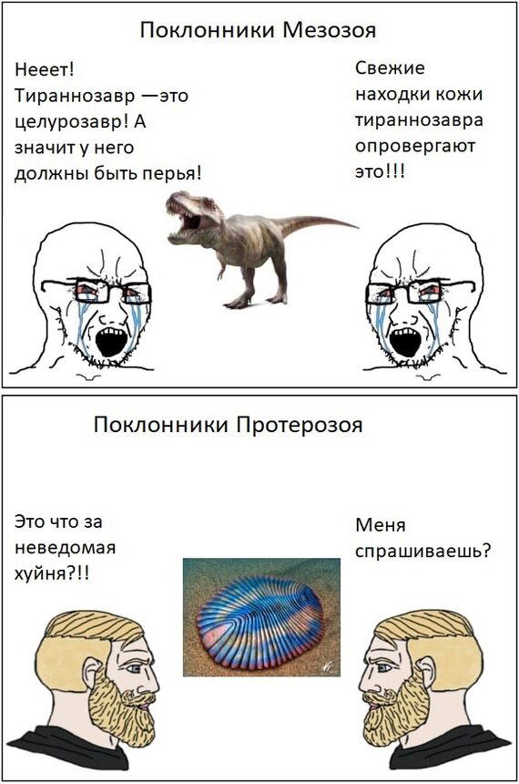 Ну, похоже на ракушку...