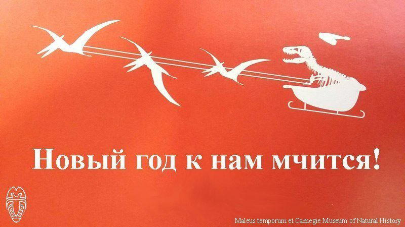 Саблезубый лосось и поздравление от Лиги палеонтологов.