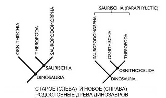 Динозавры в цифрах и масштабе