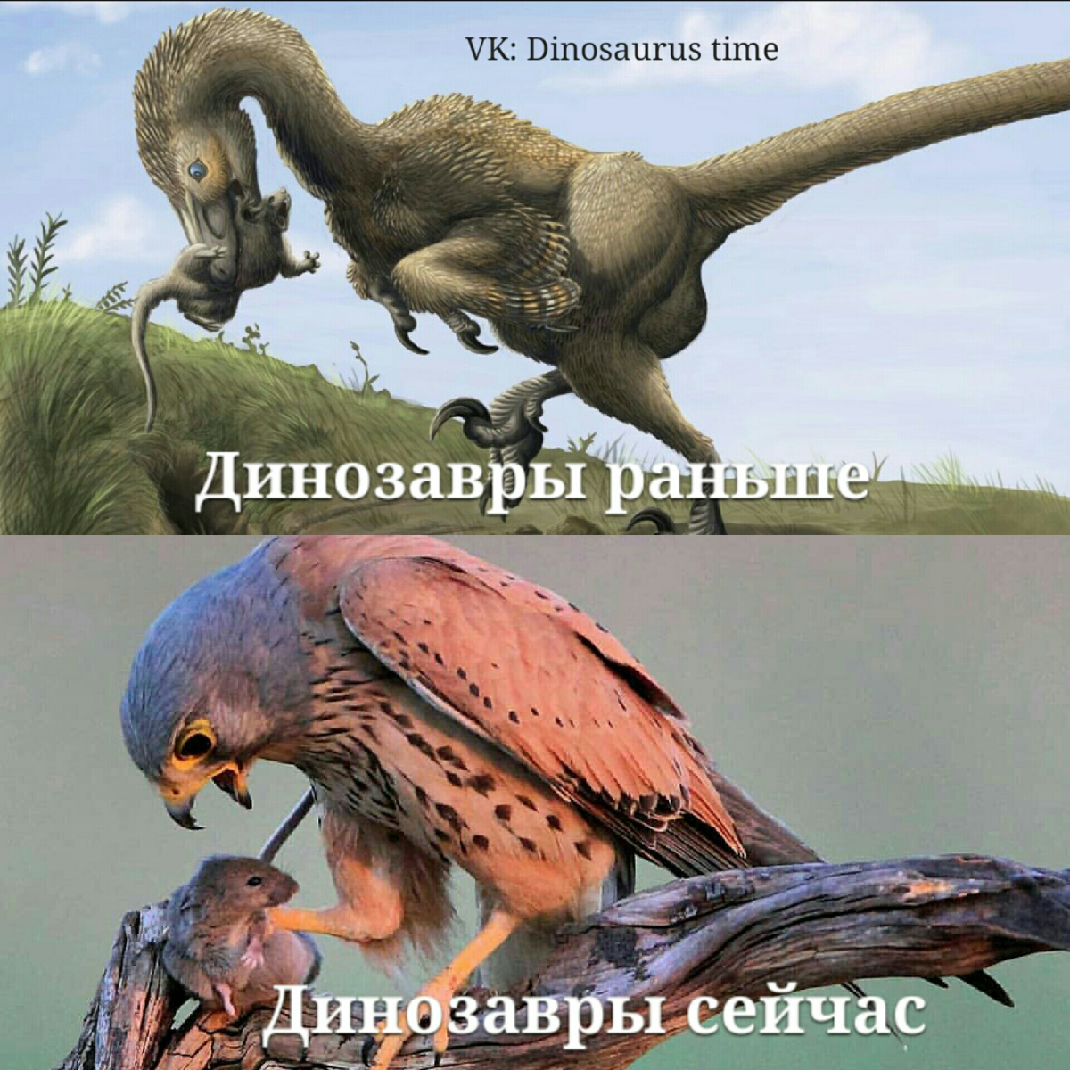 Было/стало