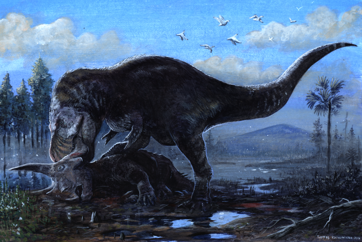 Знаменитый T.Rex. Охотник или падальщик?