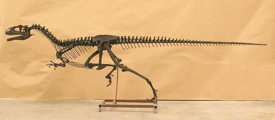 Знаменитый T.Rex. Охотник или падальщик?