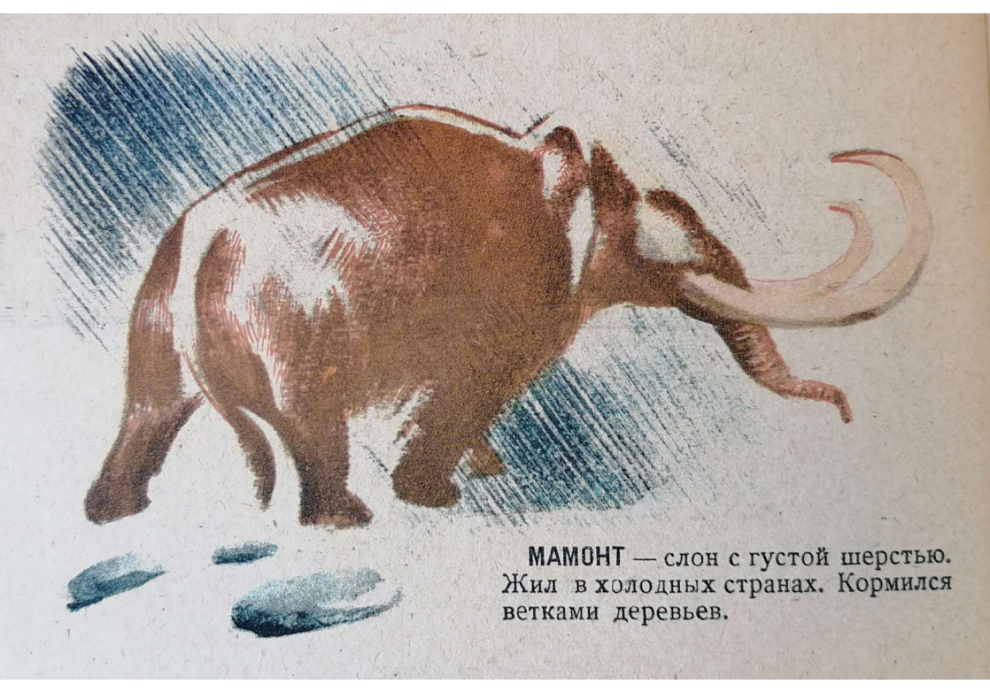 Вымершие животные. Издательство "крестьянская газета", 1929 год