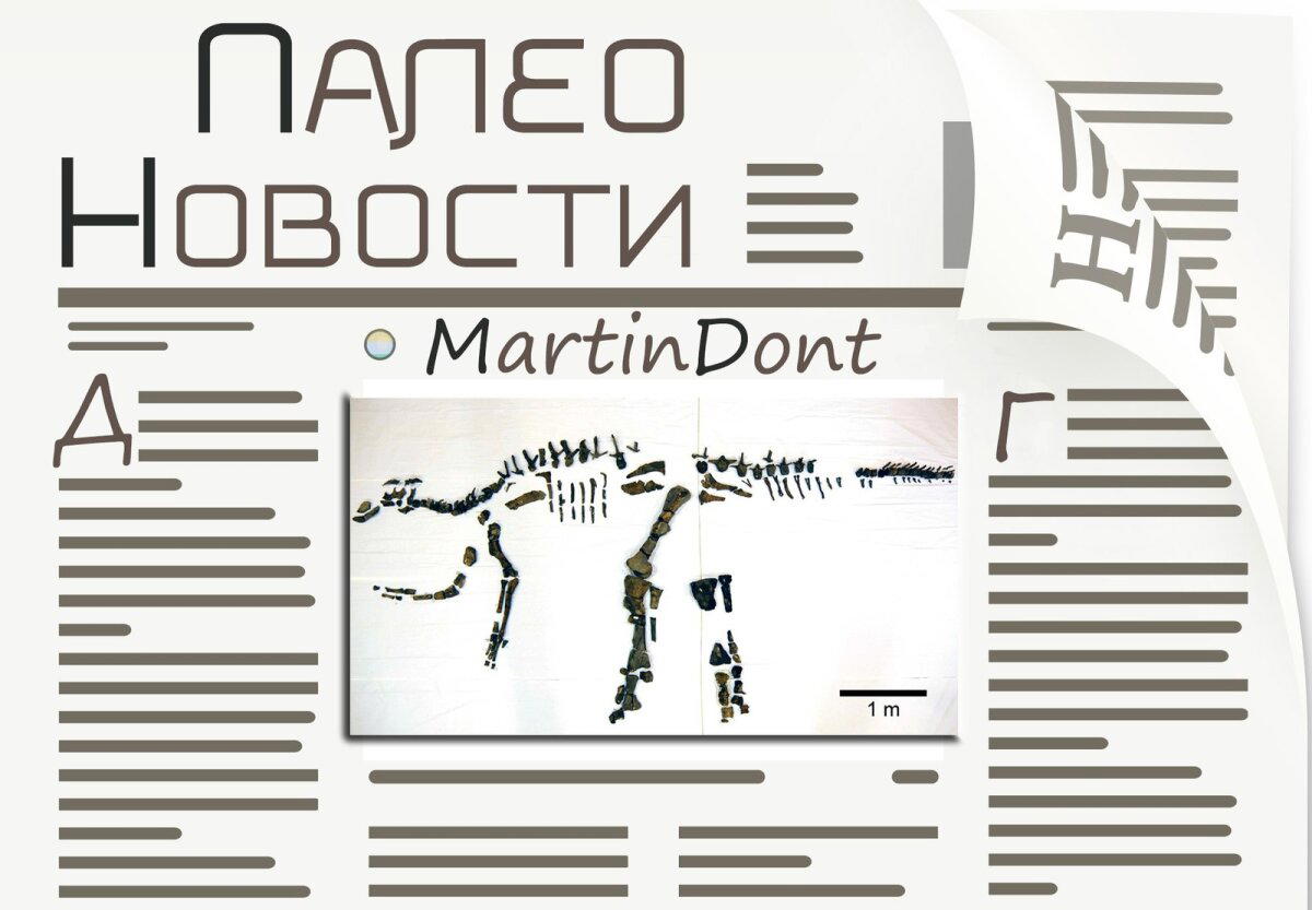 Тираннозавр рекс не мог бегать