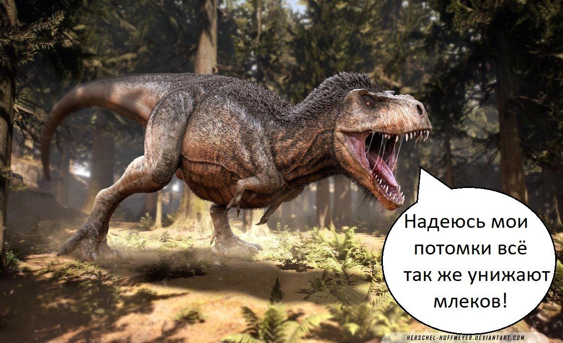 Гуси продолжают дело предков!
