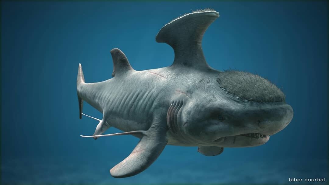 WTF, Evolution?!