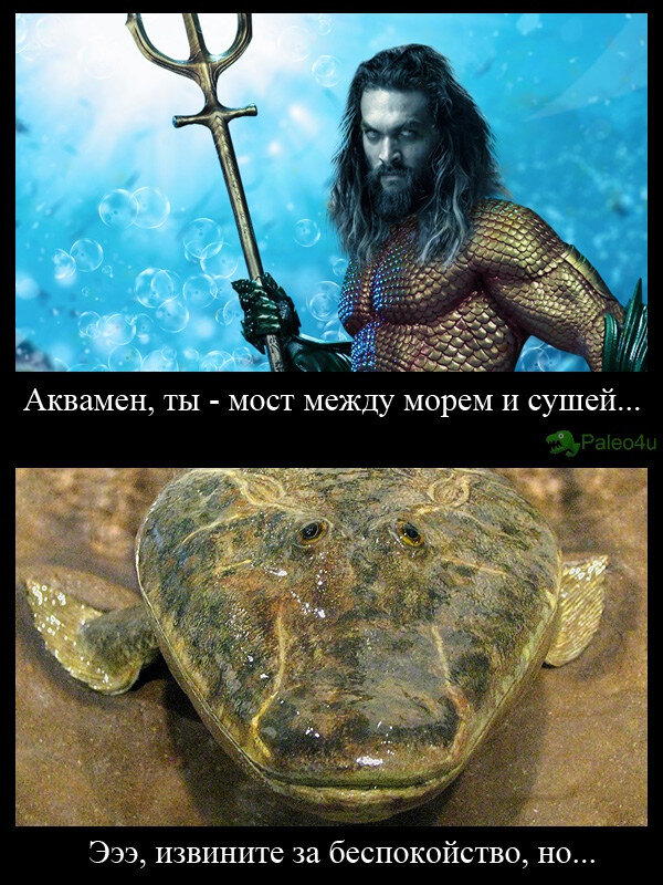 Немножко палеоюмора