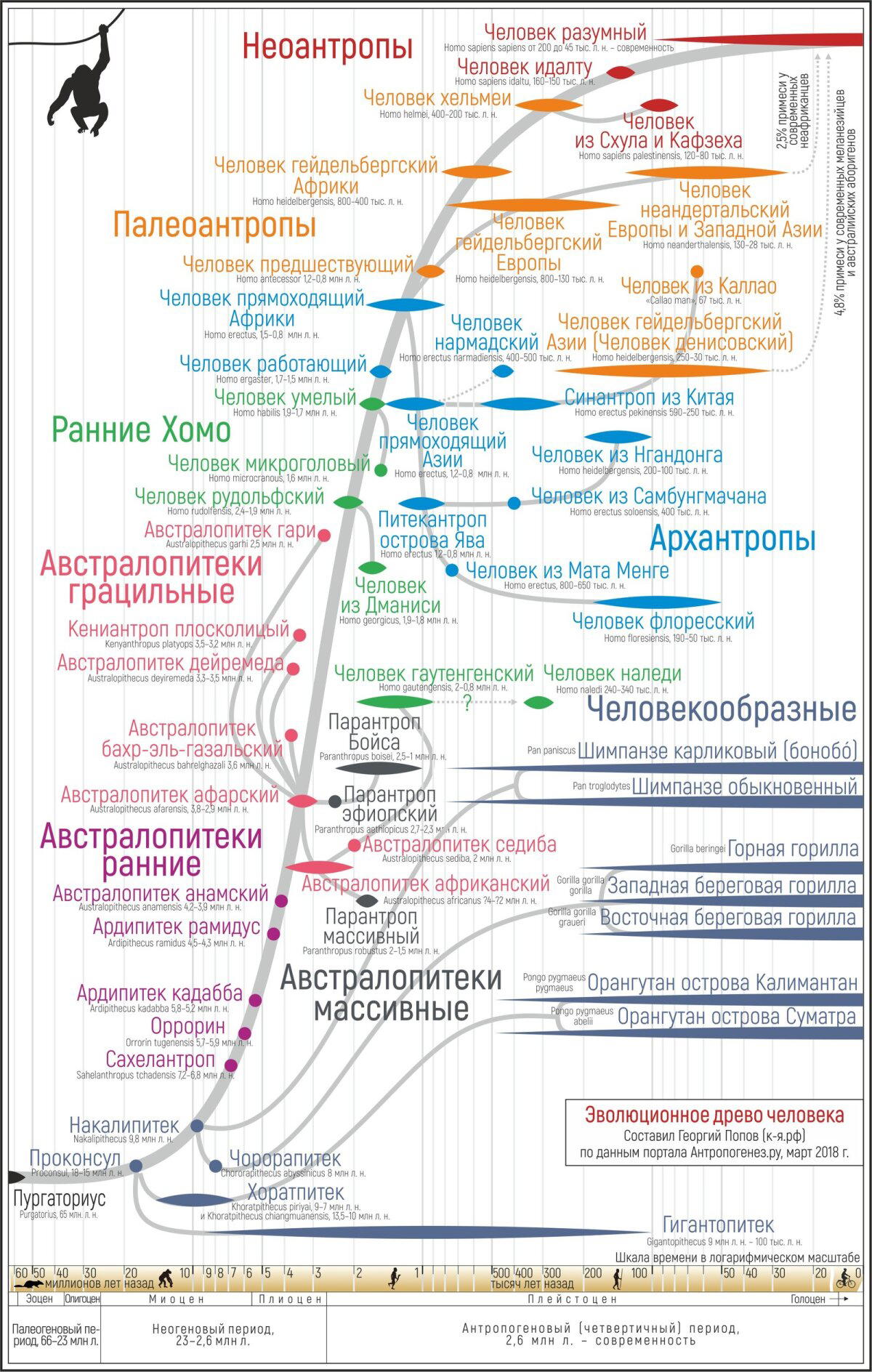 12 доказательств эволюции,...