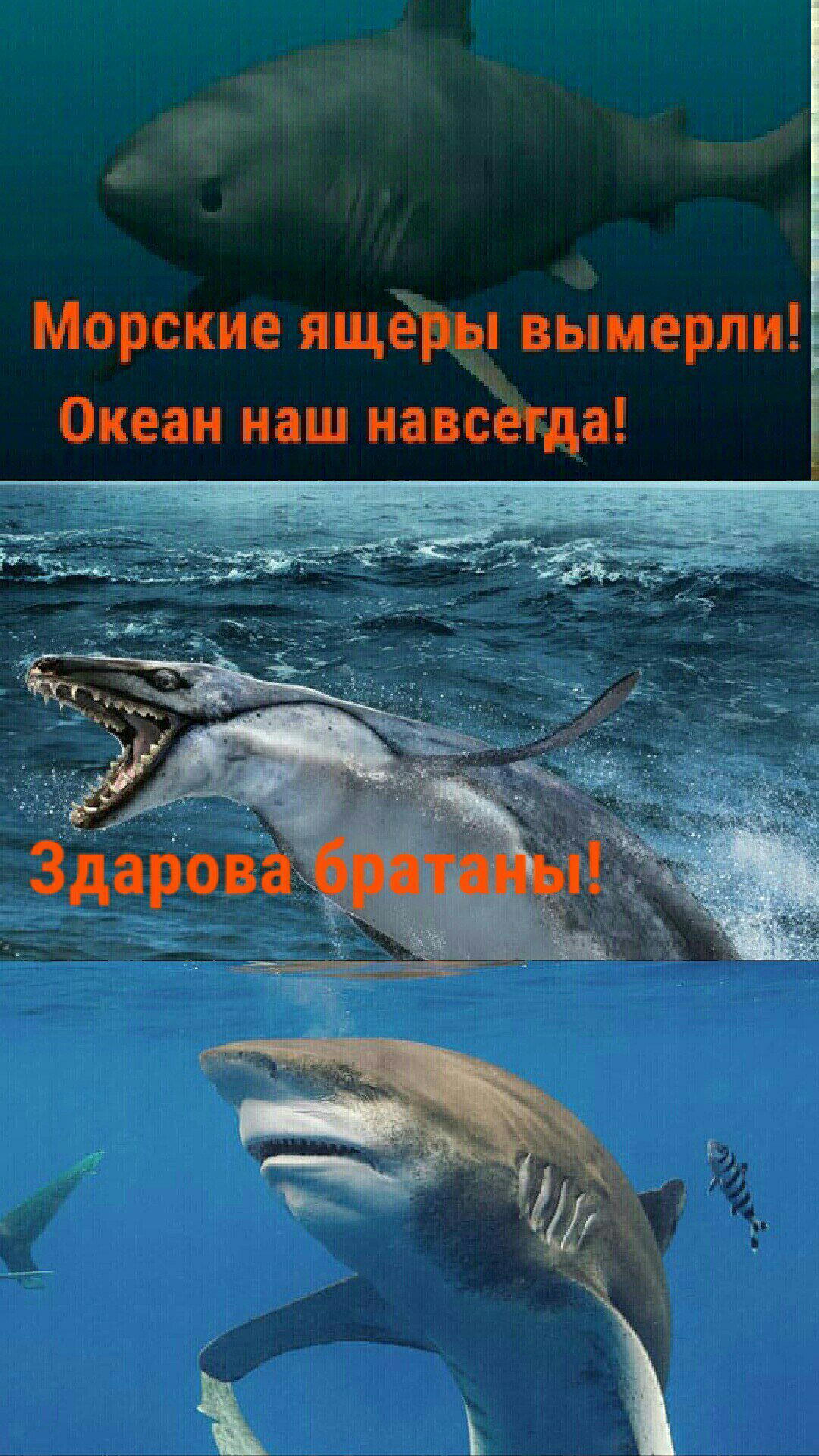 Палеоюмор