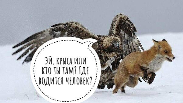«Шёл поздний Кайнозой. Динозавры всё не успокаивались» (с)