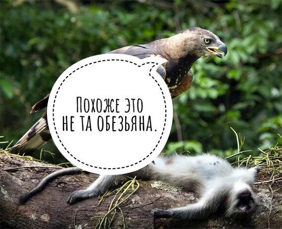 «Шёл поздний Кайнозой. Динозавры всё не успокаивались» (с)