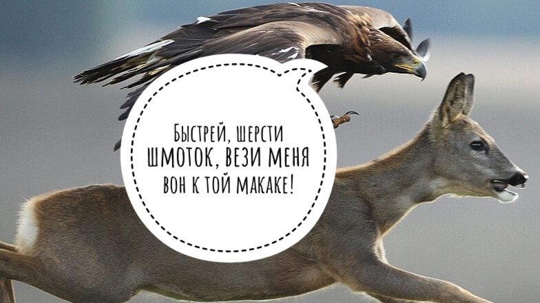 «Шёл поздний Кайнозой. Динозавры всё не успокаивались» (с)
