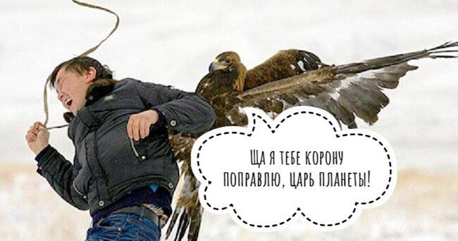 «Шёл поздний Кайнозой. Динозавры всё не успокаивались» (с)